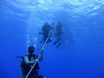 Hawaii Scuba divng 09