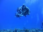 Hawaii Scuba divng 13