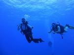 Hawaii Scuba divng 14