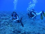 Hawaii Scuba divng 17