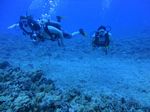 Hawaii Scuba divng 18