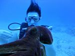 Hawaii Scuba divng 21