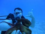 Hawaii Scuba divng 29