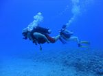 Hawaii Scuba divng 38