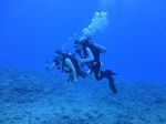 Hawaii Scuba divng 41