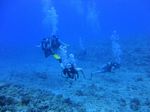 Hawaii Scuba divng 42