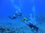 Hawaii Scuba divng 43