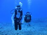 Hawaii Scuba divng 45