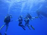 Hawaii Scuba divng 51