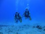 Hawaii Scuba divng 52