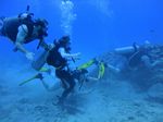 Hawaii Scuba divng 56