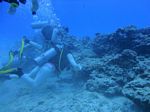 Hawaii Scuba divng 57