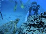 Hawaii Scuba divng 58