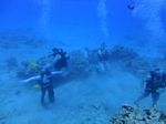 Hawaii Scuba divng 62