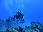 Hawaii Scuba divng 63