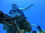 Hawaii Scuba divng 71