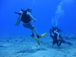 Hawaii Scuba divng 72