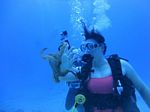 Hawaii Scuba divng 75