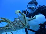 Hawaii Scuba divng 79