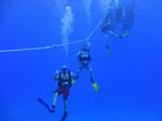 Hawaii Scuba divng 07