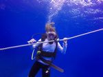 Hawaii Scuba divng 83