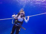 Hawaii Scuba divng 84