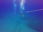 Hawaii Scuba divng 86