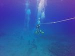 Hawaii Scuba divng 87