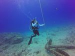 Hawaii Scuba divng 89