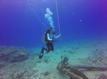 Hawaii Scuba divng 90