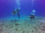 Hawaii Scuba divng 94