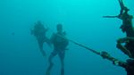 Hawaii Scuba divng 10