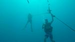 Hawaii Scuba divng 11