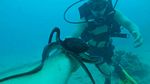 Hawaii Scuba divng 16