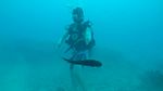 Hawaii Scuba divng 17