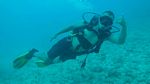 Hawaii Scuba divng 22