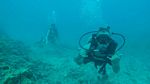 Hawaii Scuba divng 24