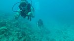Hawaii Scuba divng 25
