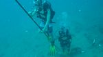 Hawaii Scuba divng 32