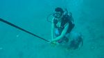 Hawaii Scuba divng 33