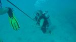 Hawaii Scuba divng 34