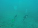 Hawaii Scuba divng 13