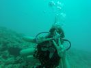 Hawaii Scuba divng 14