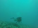 Hawaii Scuba divng 21