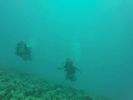 Hawaii Scuba divng 22