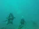 Hawaii Scuba divng 28