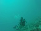 Hawaii Scuba divng 31