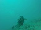 Hawaii Scuba divng 32