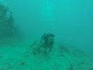 Hawaii Scuba divng 37