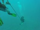 Hawaii Scuba divng 51